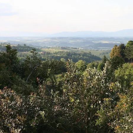 Selve Vecchie Città della Pieve
